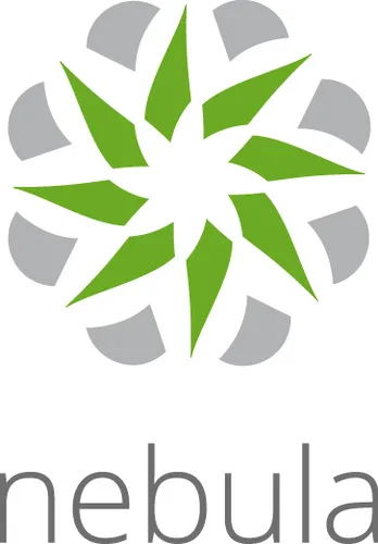 Licença Zyxel Nebula Profissional Pack 1Y