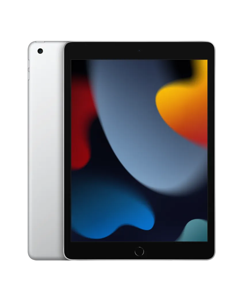 iPad 10.2 Wi-Fi 256Gb Prateado